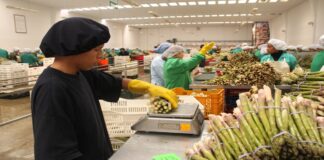 ADEX: a pesar de la pandemia se incrementan agroexportaciones a EE.UU.