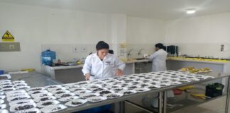 Técnicas de producción mejora rendimiento y calidad de maracuyá en La Libertad