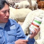 Cinco preguntas y respuestas sobre la certificación de competencias