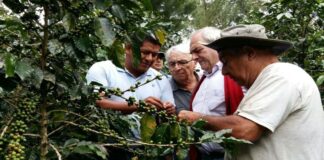 Exportaciones peruanas sumarían US$ 43 mil millones este año