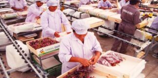 ADEX: Exportaciones aún no se recuperan por nuevos confinamientos en destinos