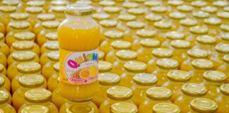 Promueven consumo de “Snack Saludables” ricos en proteínas para año escolar en casa