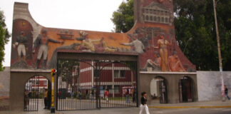 UNT destaca en rankings de producción científica de la Sunedu