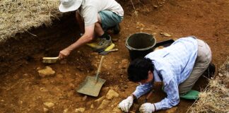 Seminario gratuito de arqueología en la UNT