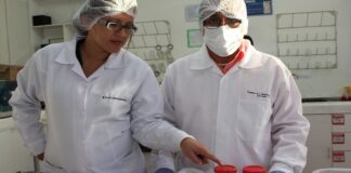 ADEX: Mercados de colorantes naturales se dinamizarán este 2021