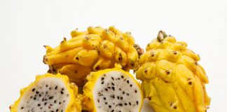 Pitahaya: Prodigioso superalimento amazónico que potencia el sistema inmune