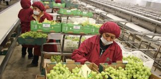 MTPE: Empleados que laboren el feriado 8 de diciembre percibirán triple pago