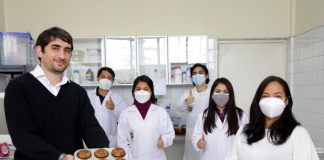 Universitarios peruanos crean novedoso pan altamente nutritivo a base de quinua, kiwicha y tarwi