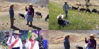 TikTok: lanzan concurso de talentos para adultos mayores