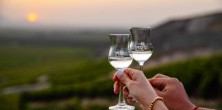 Exportaciones de Pisco incrementaron 93% de enero a noviembre del 2021