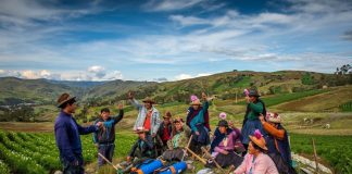 Agricultura diversificada y ecológica reduce desnutrición en La Libertad y otras regiones de la sierra peruana
