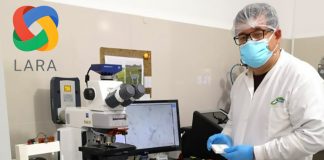 Google financiará proyecto científico peruano para detectar variantes del SARS-CoV-2