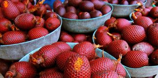Estudian aceite del aguaje para uso cosmético, farmacéutico y alimenticio