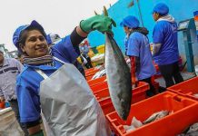 Colegio de Nutricionistas ofrece algunas alternativas de alimentación a bajo costo