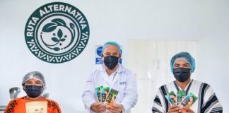 Vraem: productores de cacao asháninkas se asocian y conforman su primera cooperativa