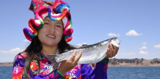Puno: Becas American Spaces impulsará la exportación de trucha, café, quinua y textiles