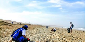 Trujillo: realizan campaña de limpieza en playas y totorales de Huanchaco
