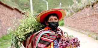Cusco: conoce a María Flores Huallpa, la experta en hierbas medicinales de Andahuaylillas