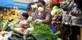 Banco Mundial: se debe construir un sistema alimentario resiliente que nos proteja frente a las crisis