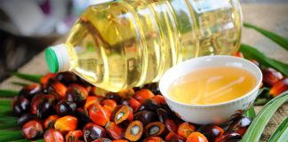 Aceite de palma alcanzó cifra récord de exportaciones en Ucayali