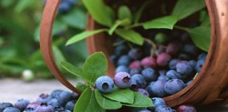 La Libertad exportó US$ 521 millones durante el primer bimestre del 2022