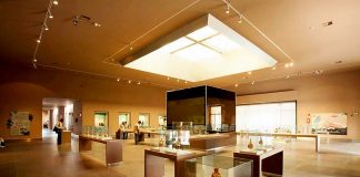 Día Internacional de los Museos: este 18 de mayo ingreso libre a nivel nacional