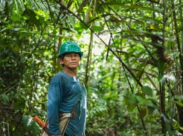 Comunidades nativas de Atalaya conservan más de 430 mil hectáreas de bosques amazónicos con apoyo del Minam