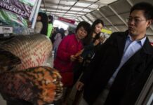 Perú y Japón suscriben memorándum de cooperación para promover el turismo sostenible